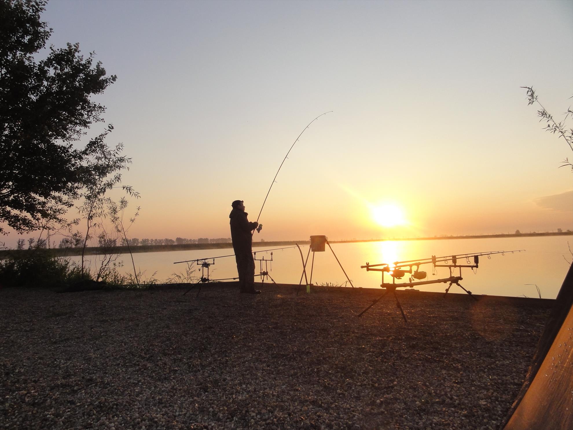 Iunie 2013 - Siclau - iunie 2013